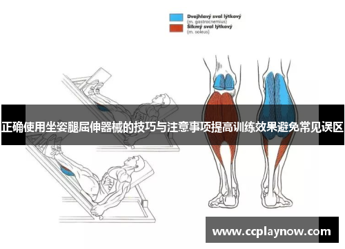 正确使用坐姿腿屈伸器械的技巧与注意事项提高训练效果避免常见误区