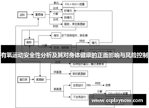 有氧运动安全性分析及其对身体健康的正面影响与风险控制